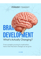 Brain Development.pdf